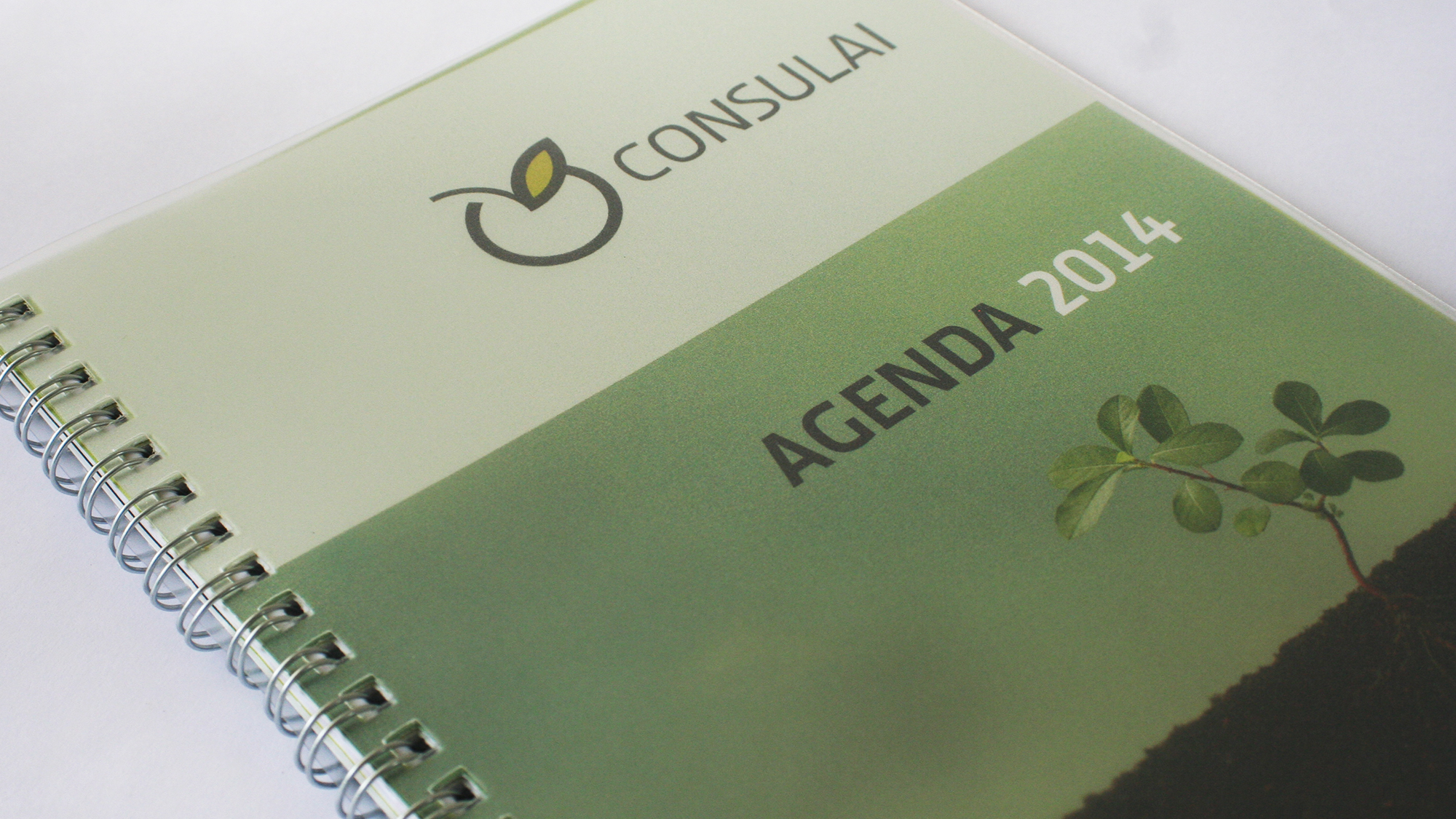 consulai agenda 2